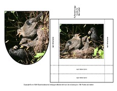 Amsel-Merkzettel-4.pdf